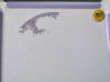121663014_.thumb.jpg.3a607b9eab902eaee17757cb388c55c4.jpg