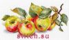 14488.thumb.jpg.f1d969ba934192a4cc009a9db35f56bb.jpg