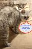 1704654396815.thumb.jpg.6eaf35dd1aef492840bbf00b9aaeac2a.jpg