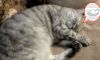 1704654396850.thumb.jpg.2897a324080faccebebcb716baede58b.jpg