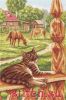19502.thumb.jpg.a73c6b9afe8ab4f9195b6ddd976cb41a.jpg