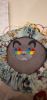 2.thumb.jpg.782110fff93a6c5d9c9be1c4d386af82.jpg