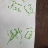 20230911_094757.thumb.jpg.e22e34041ed06e619398a292583bfbb4.jpg