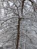 20231125_141126.thumb.jpg.b6a44137e3e18df83c23f04a73b347db.jpg