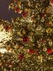 20231228_203628.thumb.jpg.8b098ecc15ec11122b8fa74d4f7af71b.jpg
