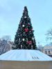 20231230_133927.thumb.jpg.b2b283ef8759e68bab19db30166fc335.jpg