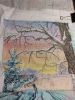 20240102_194024.thumb.jpg.03ae69cf7237c7e39c832d677b9346a1.jpg