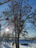 20240107_132437.thumb.jpg.f7db671bf842eb5664979018721b9677.jpg