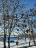 20240107_132441.thumb.jpg.d2ad86214cfeda09d5f1b43c013f0871.jpg