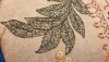 20240112_183848.thumb.jpg.29192fa1374a8b12fc667327677cbb78.jpg