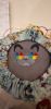 20240113_195511.thumb.jpg.7340f43816d57d563bb812f79bc5813b.jpg