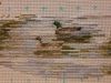 20240120_220630.thumb.jpg.ddad9ae6a888d3647e248bea5195096b.jpg