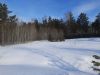 20240128_122254.thumb.jpg.3b7e39cf1c1c9be489ca795bf681e7d3.jpg