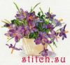 Алиса 2-26, Крокусы