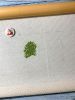 263228325_.thumb.jpeg.501ab60adcd775855989607484fa8703.jpeg