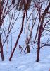 677656175_2024-01-2814-45-59.thumb.JPG.7a35199344f98b0867e2f28ec262cb4d.JPG