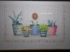 DSC07852.thumb.JPG.fdfaafdcbe3ac15ee912223cf9d31f24.JPG