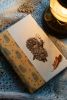 DSC_2149.thumb.jpg.ad5c02eac3055f6c955029c62a68646e.jpg
