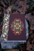 DSC_4313.thumb.jpg.a678a21bc13bcfa1690a5e080c0f87ee.jpg