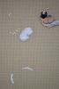 DSC_8813.JPG.b9960fc83a4eead1ba6bbbb3693c5401.thumb.jpg.620d93d6674c173481fb7899c0ea4f2f.jpg