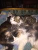 IMG-20240103-WA0001.thumb.jpg.3c64a79eb4769707c387d0b9deefff45.jpg