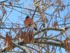 IMG-20240107-WA0045.thumb.jpg.7c352e3bf995a896fd257fc3c87b5825.jpg