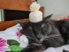 IMG20231208131502.thumb.jpg.5eee94ff69539fbf8b65f377db4ae44a.jpg