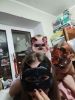 IMG20240116214340.thumb.jpg.8e5dbfdb1e3d7e186fc6fbf7be774203.jpg