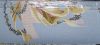 IMG_20230923_192412.thumb.jpg.b4d8ac71a9f011591e8b326520859953.jpg