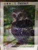 IMG_20231118_172754.thumb.jpg.68dcd7a30b330197334f0bc7ac63817e.jpg