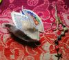 IMG_20240102_172052.thumb.jpg.c8941ab609e9bfda7c8c3020c322f209.jpg