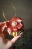 IMG_20240104_223301.thumb.jpg.5cac7d35f2a62a94a6cd505d692eb856.jpg