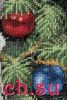 IMG_20240122_231744.thumb.jpg.4d3f893477f802db275f216967424114.jpg