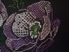 IMG_20240124_164341.thumb.jpg.7628ce8216c910c4791abdaf8d3f5eb7.jpg
