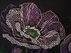 IMG_20240124_164403.thumb.jpg.222cdc81aa3898e255cd17553ba6c906.jpg