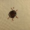 IMG_2953.jpeg