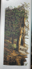 IMG_4114.png.c1f3feb2384cf261b06f4302bfd8dfaa.png
