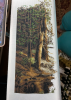 IMG_4115.png.c1a3c41b025a8235dfea3767315d45fb.png
