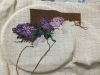 IMG_4529.jpeg
