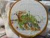 IMG_6773.jpeg