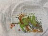 IMG_6775.jpeg
