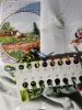 IMG_8118.jpeg