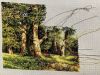 IMG_9230.jpeg