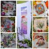 MyCollages-8.thumb.jpg.f8bd44386d8a3002843bca7b545364ad.jpg