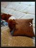 Screenshot_2024-01-22-12-25-34-76_40deb401b9ffe8e1df2f1cc5ba480b12.thumb.jpg.d26a8051cd4abeb41c31154ba3da2fc3.jpg