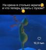 a499bfe7-5f71-4b18-a228-f56227db400a.thumb.JPG.b10ccea050bac7ffcb580009c153cec4.JPG