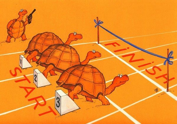 karikatura-olimpiada-2004-cherepashi-bega_(sergey-sichenko)_3127.jpeg.6407d4d04791b0d5f6d998a3467a0d24.jpeg