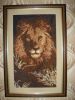 lion.thumb.jpg.e4e24872479654b953b54bf37eb1723d.jpg