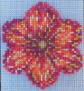 07_32_05.thumb.jpg.55d1cb882c65606e9a5cc37a18eb2dc6.jpg