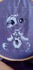 1.thumb.jpg.001a5db25c91ffb7f8e68c3e948da470.jpg